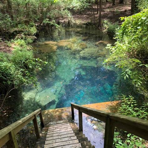 Enveloped in Nature: Exploring the Serene Location of Magic Springs